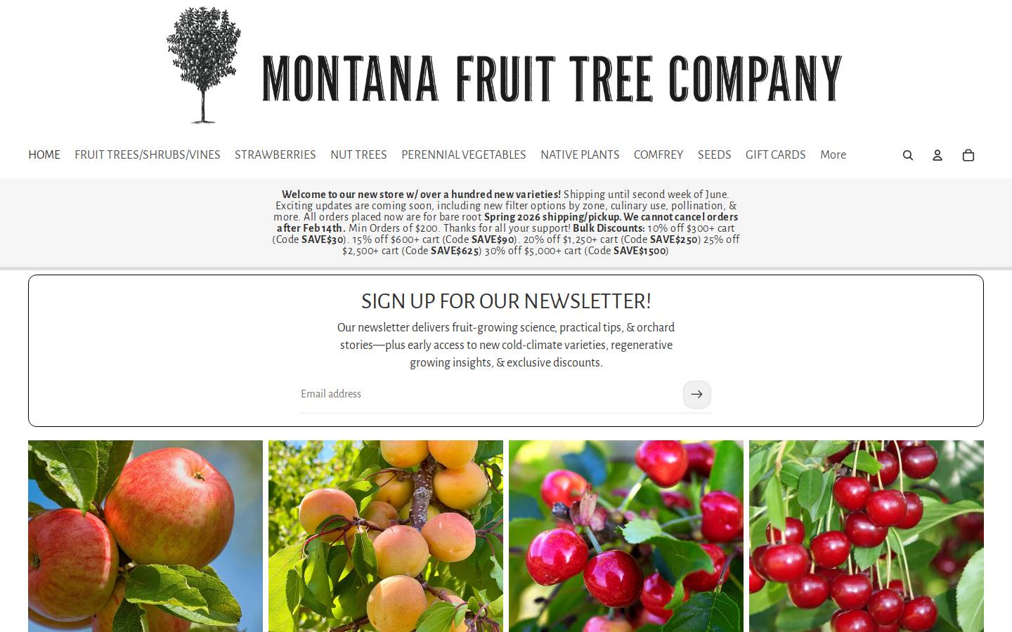 montanafruittrees.com homepage screenshot