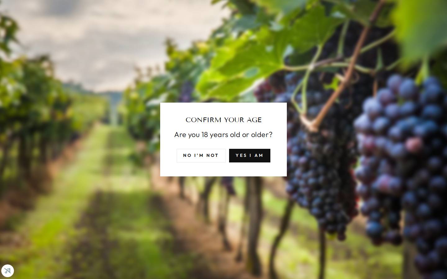 mordrellewines.com.au homepage screenshot