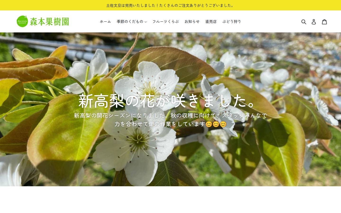 morikaju.com homepage screenshot