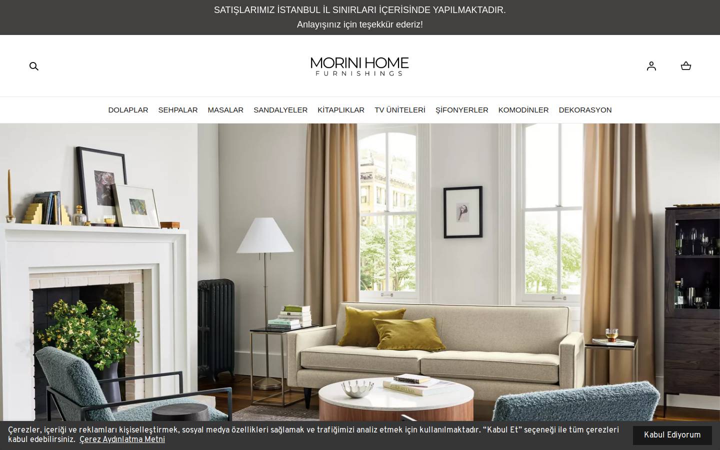 morinihome.com homepage screenshot
