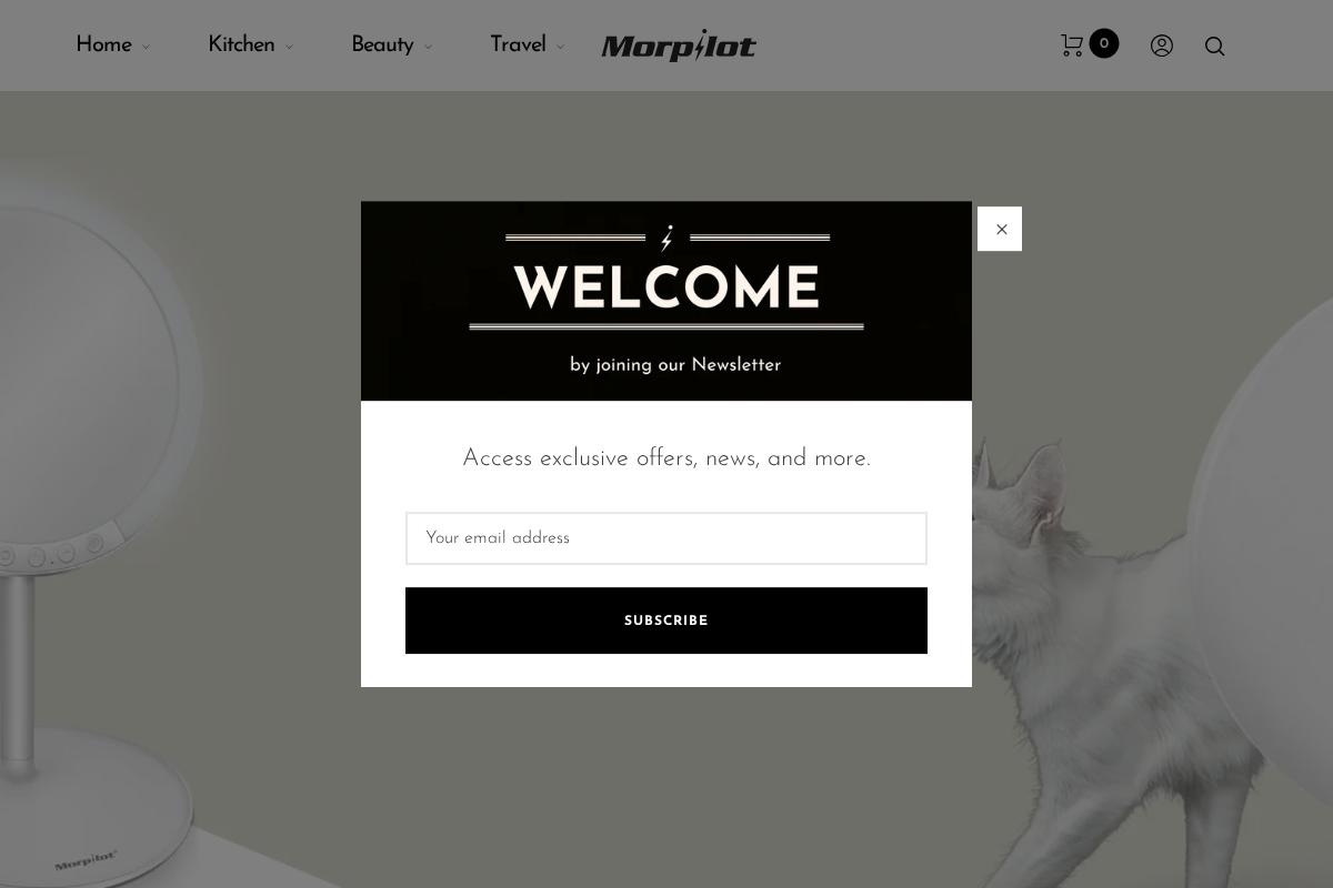 Morpilot homepage screenshot