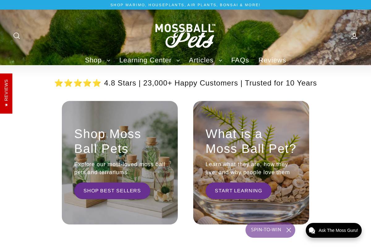 mossballpets.com homepage screenshot
