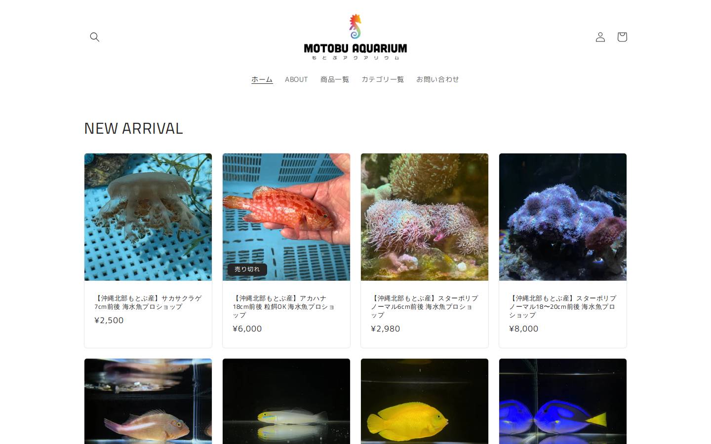 motobu-aquarium.jp homepage screenshot