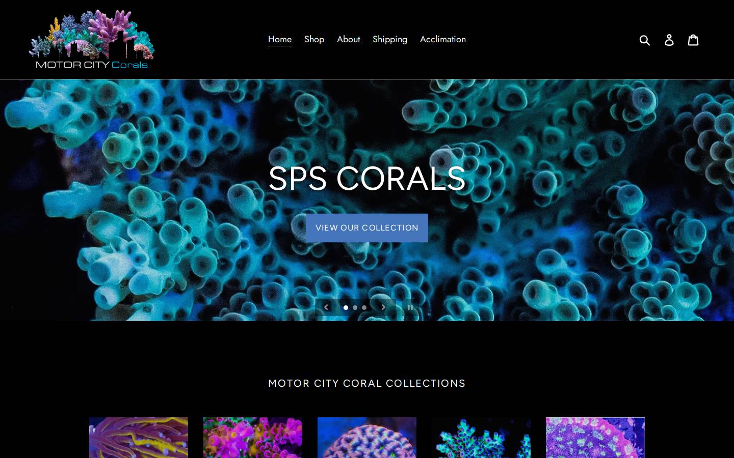 motorcitycorals.com homepage screenshot