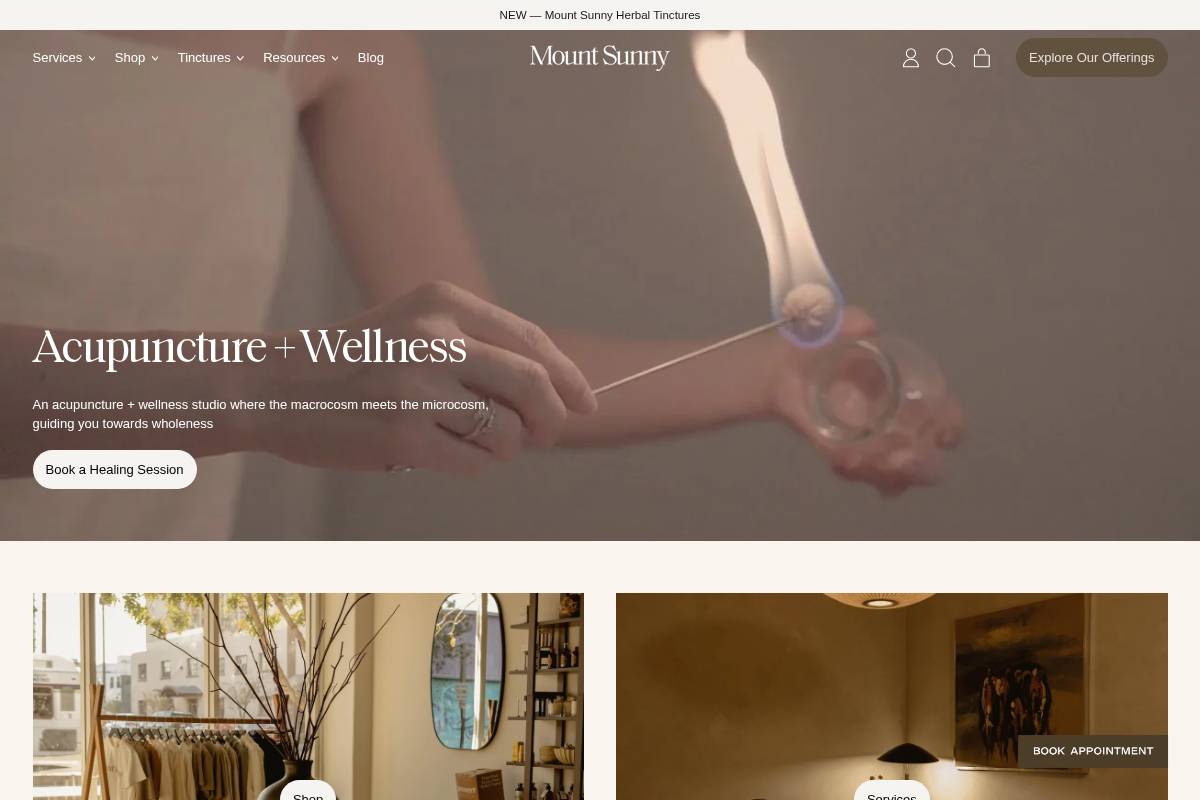 mount-sunny.com homepage screenshot