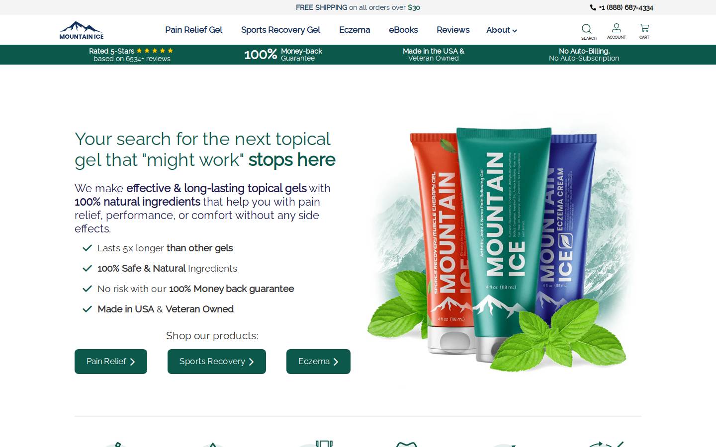 mountain-ice.com homepage screenshot