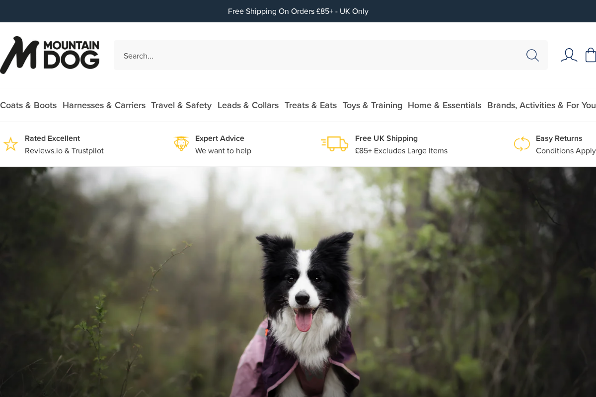 Mountain Dog homepage screenshot