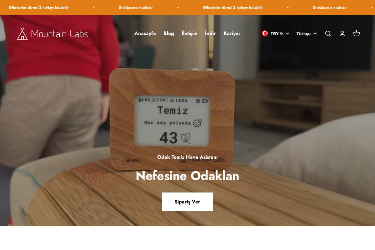mountainlabs.io homepage screenshot