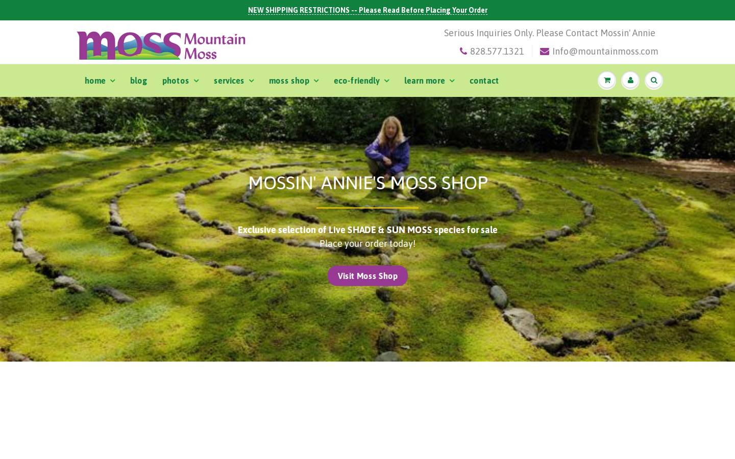 mountainmoss.com homepage screenshot