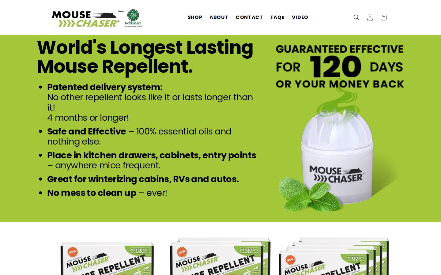mousechaser.com homepage screenshot