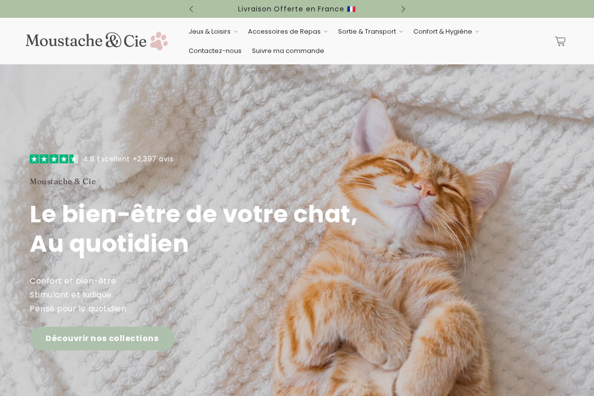 Moustache & Cie homepage screenshot