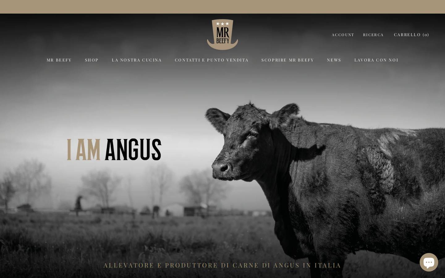 mrbeefy.it homepage screenshot