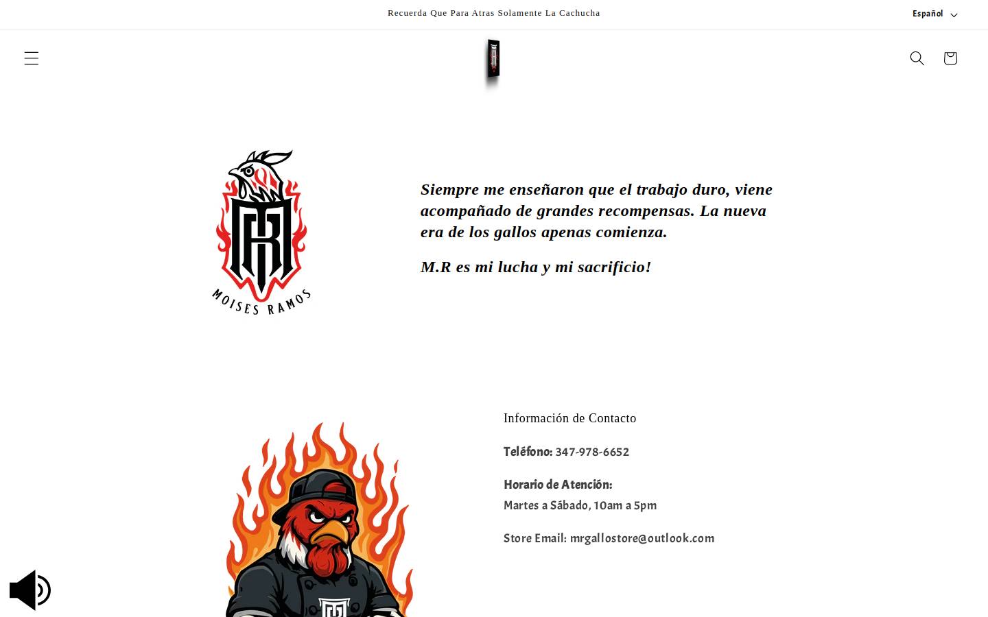 mrgalloskitchen.com homepage screenshot