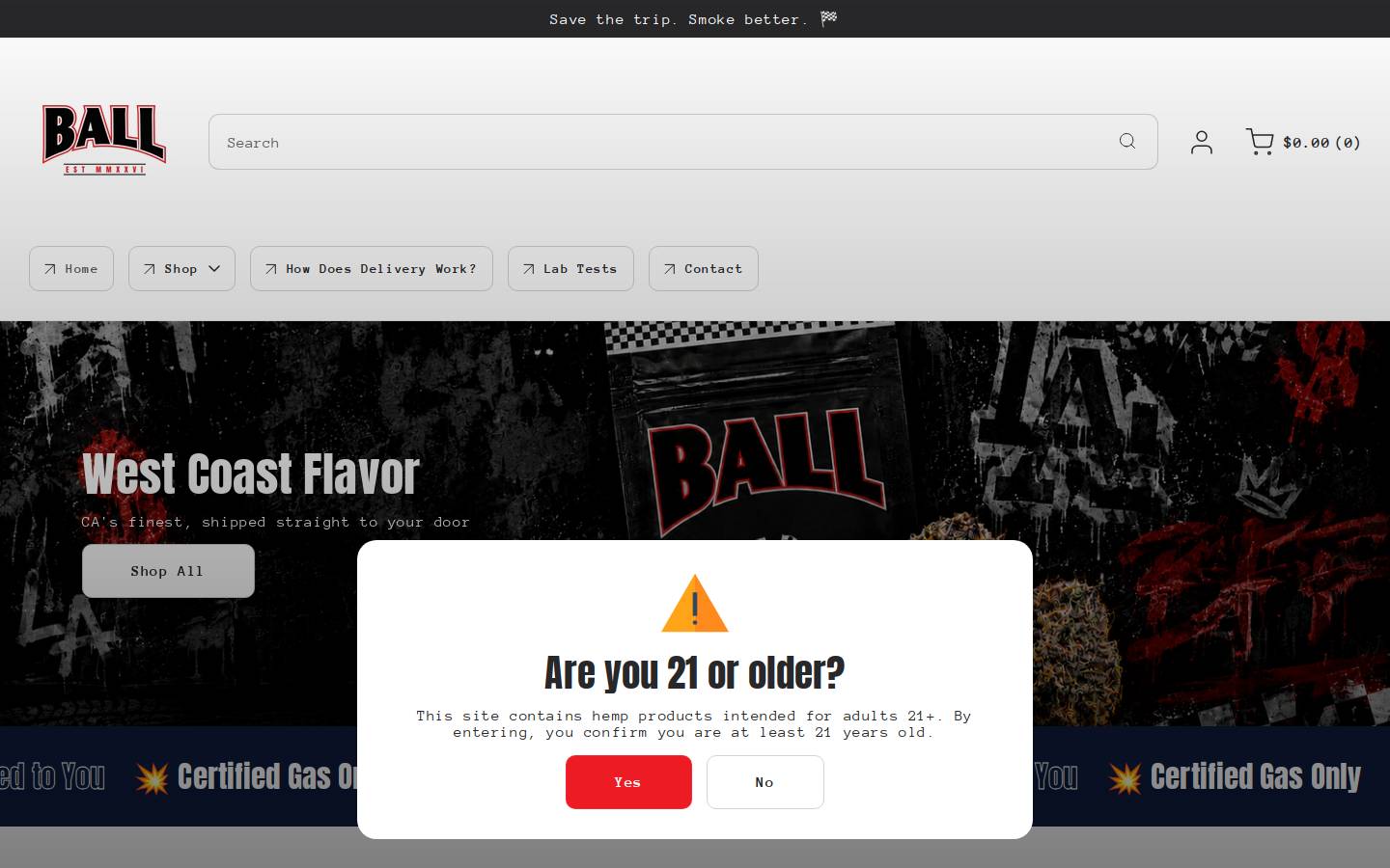 mrniceguydelivery.com homepage screenshot