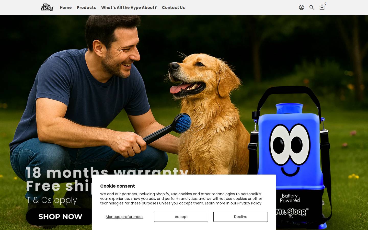 mrsloog.com homepage screenshot