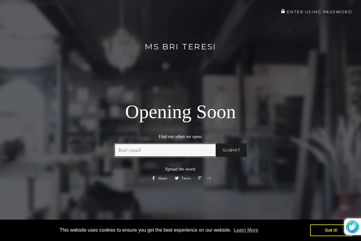 msbriteresi.com homepage screenshot