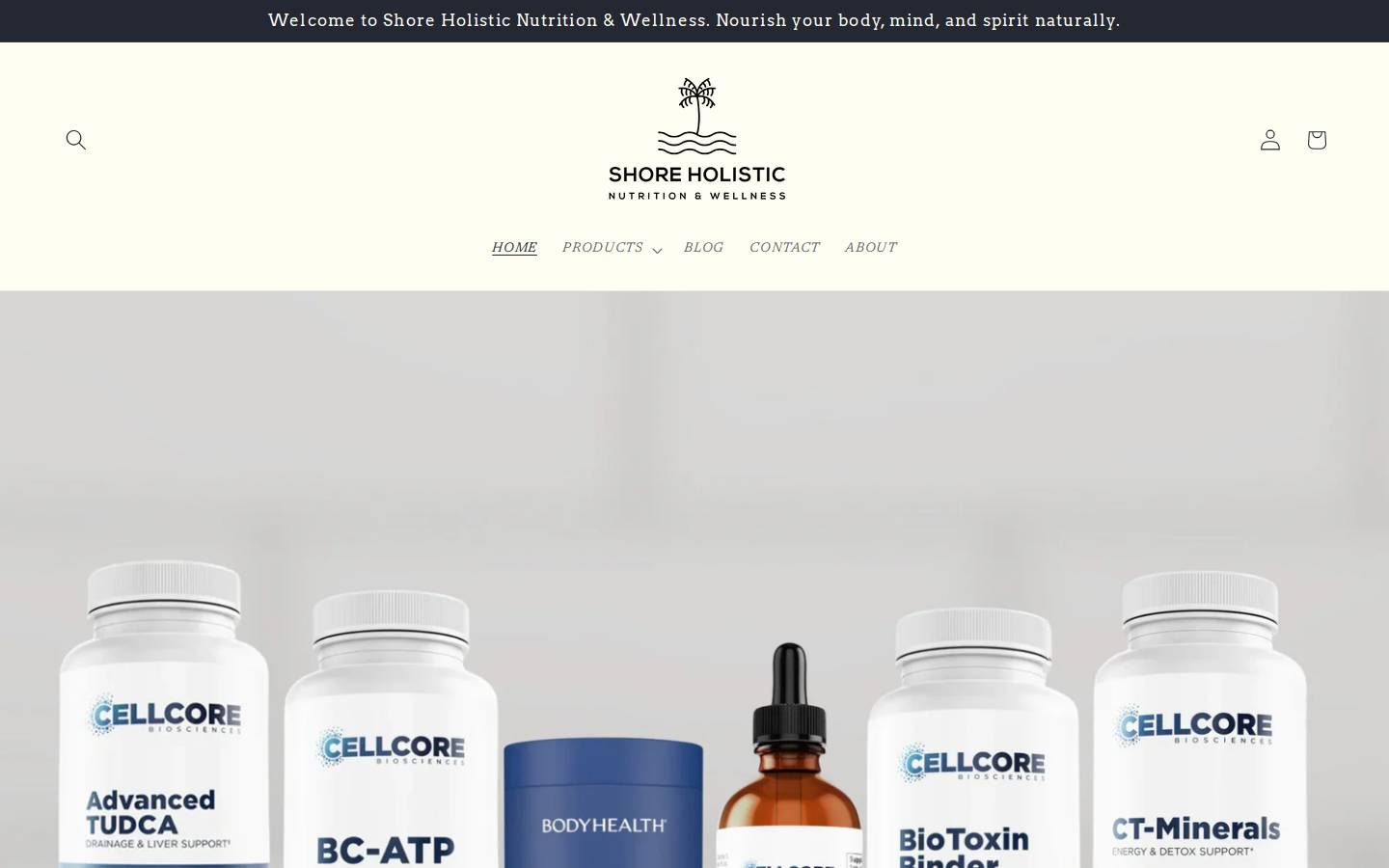 mshoreholisticnutrition.com homepage screenshot