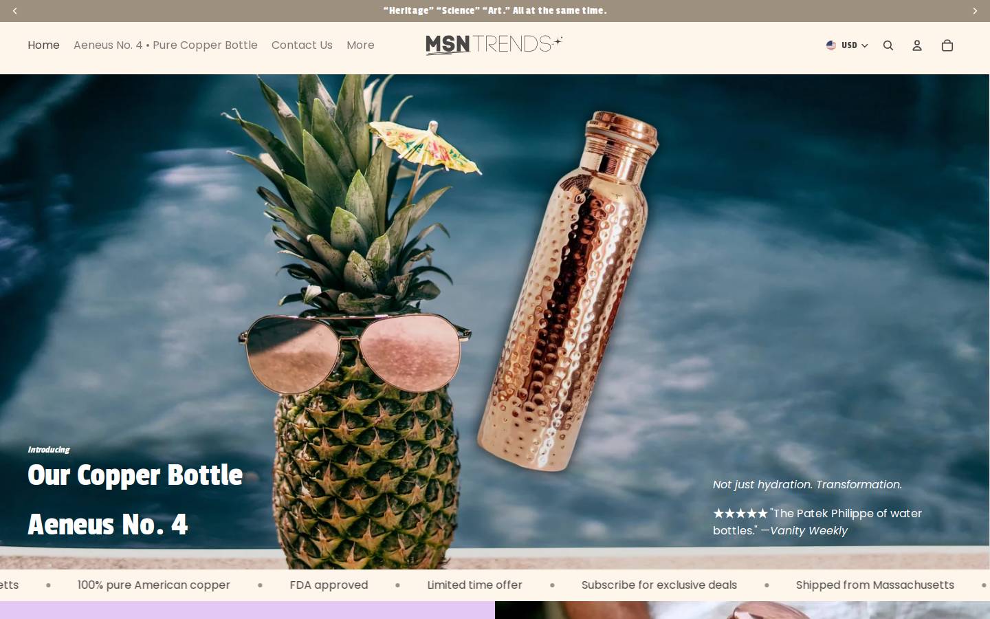 msntrends.com homepage screenshot
