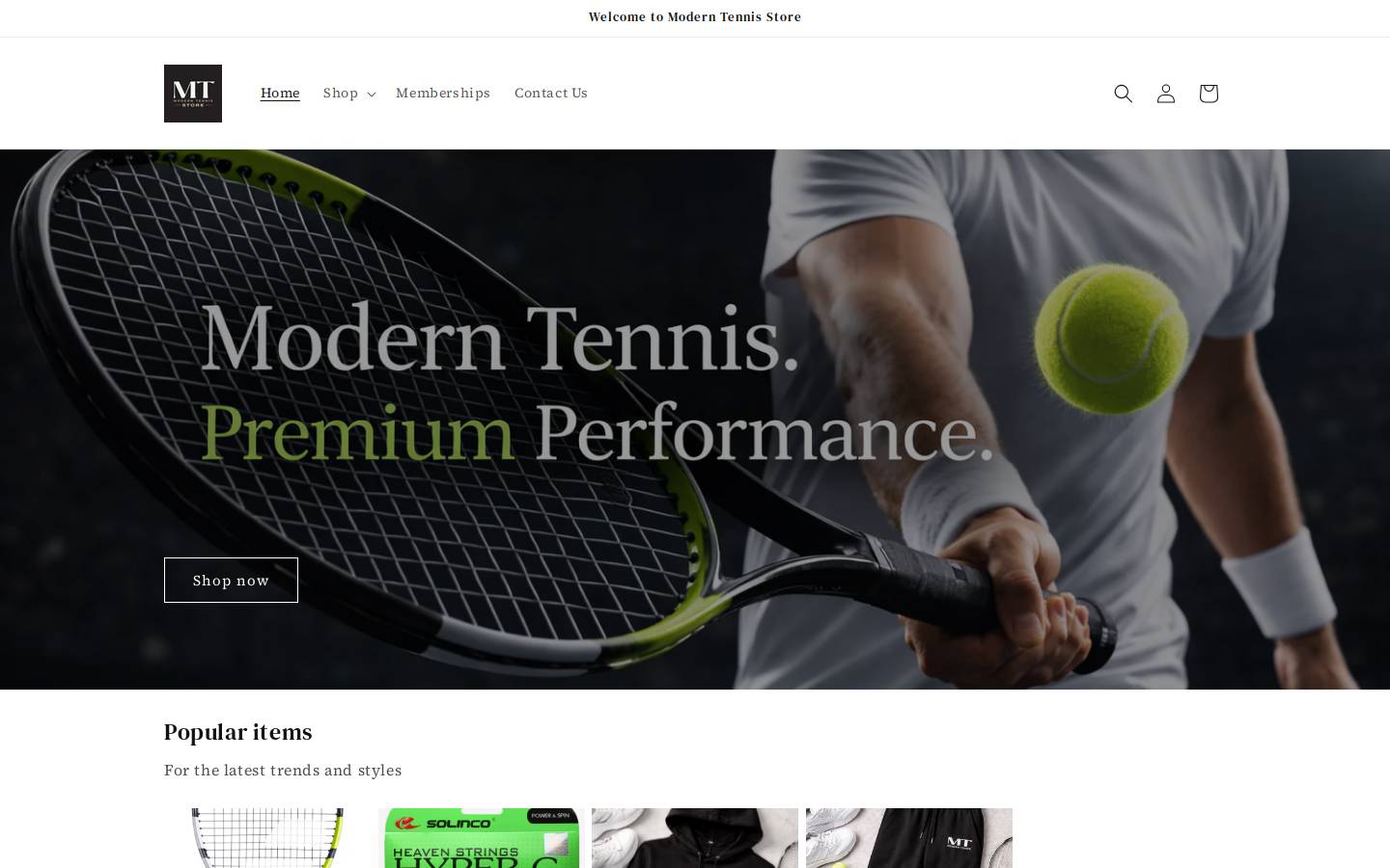 mtstore.us homepage screenshot