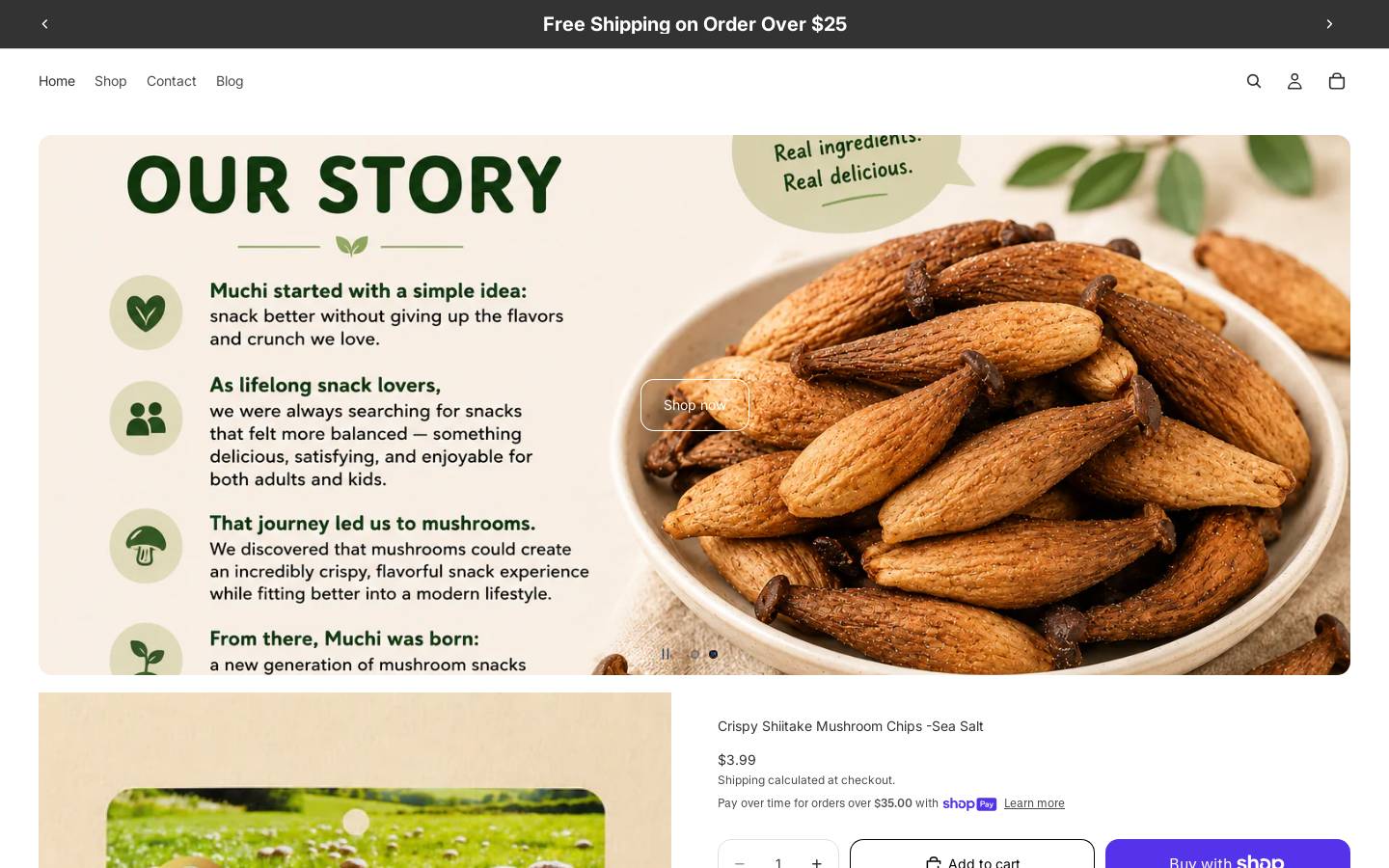 muchips.com homepage screenshot