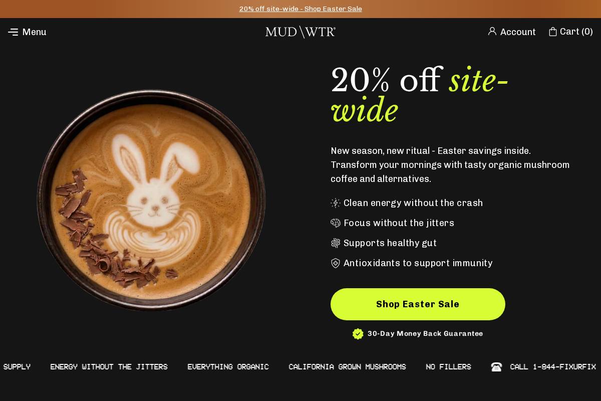 MUD\WTR homepage screenshot