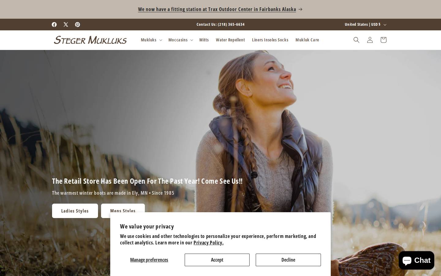 Steger Design homepage screenshot