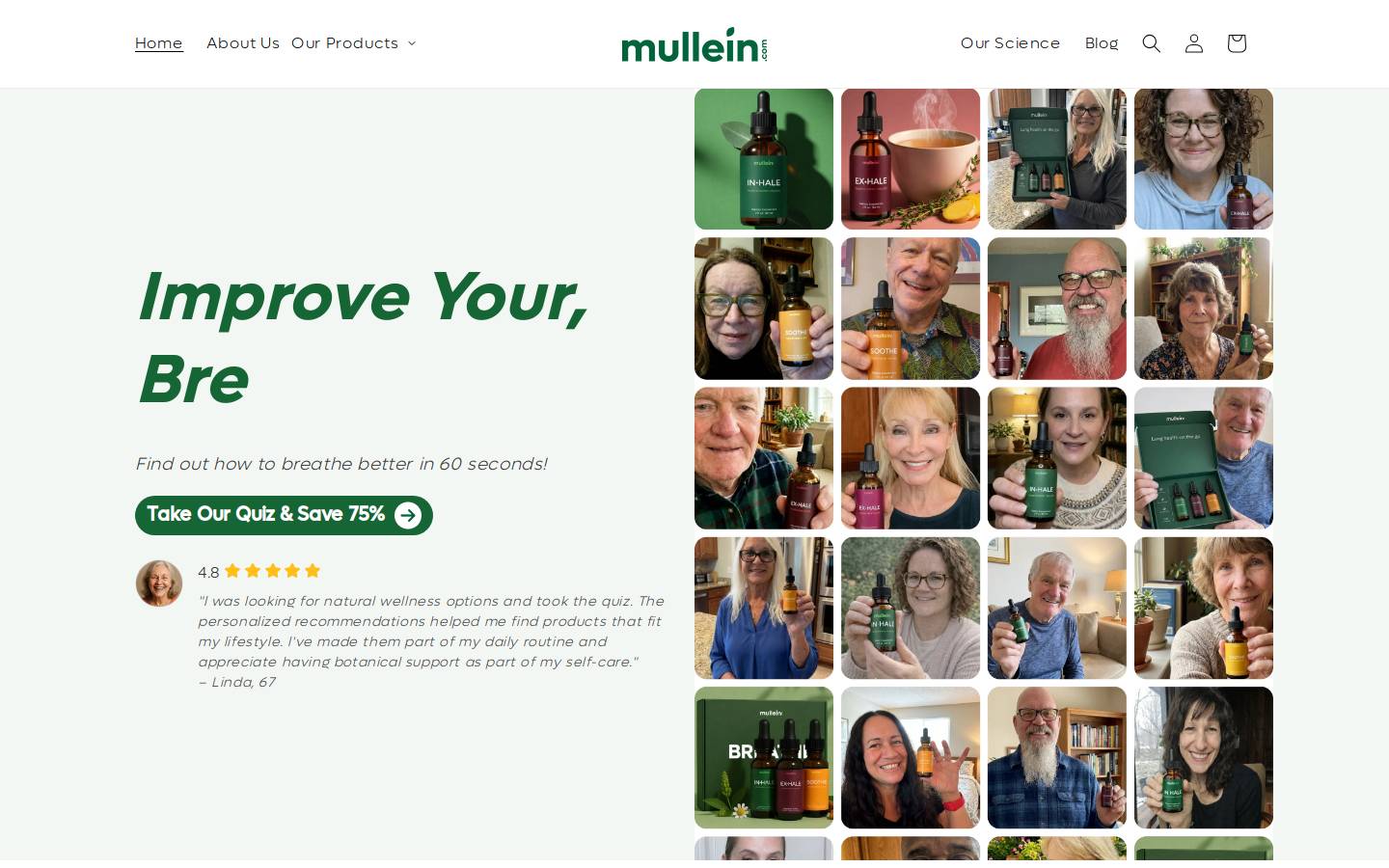 mullein.com homepage screenshot