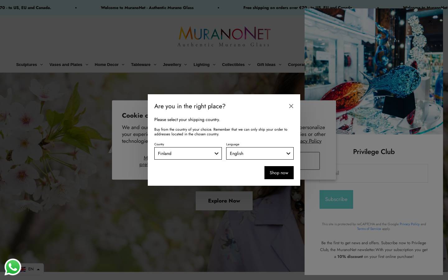 MuranoNet homepage screenshot