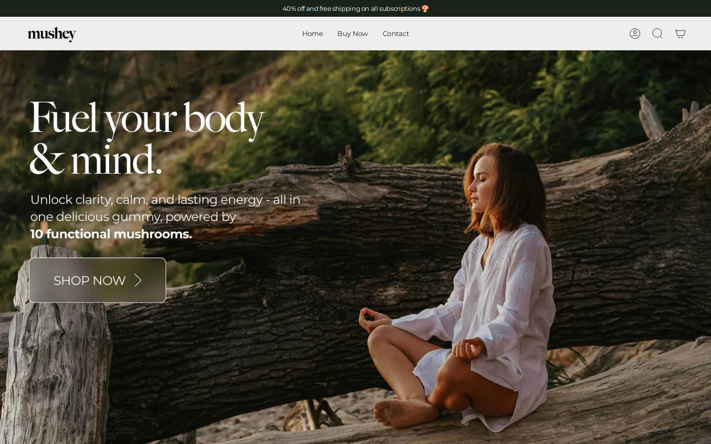 Mushey homepage screenshot