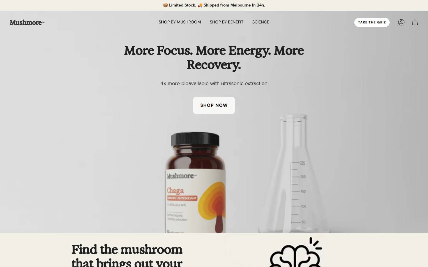 mushmore.com.au homepage screenshot