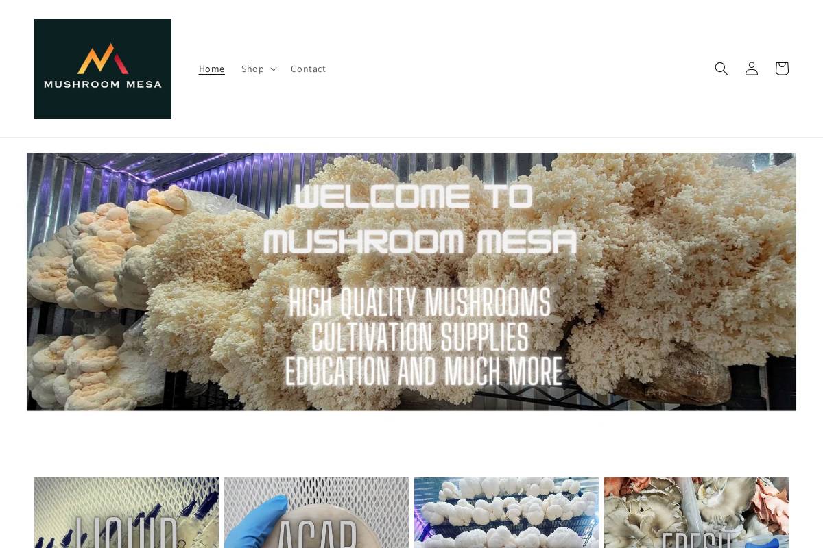 mushroommesa.com homepage screenshot