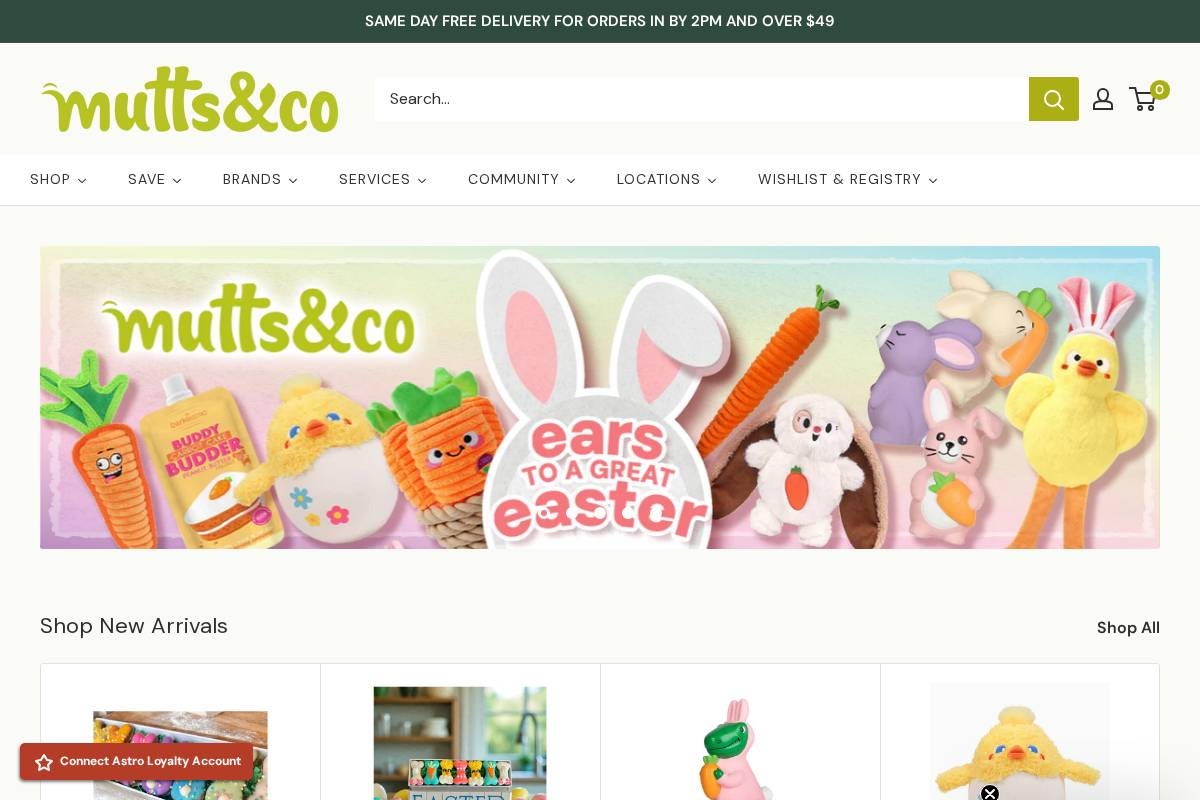 muttsandco.com homepage screenshot