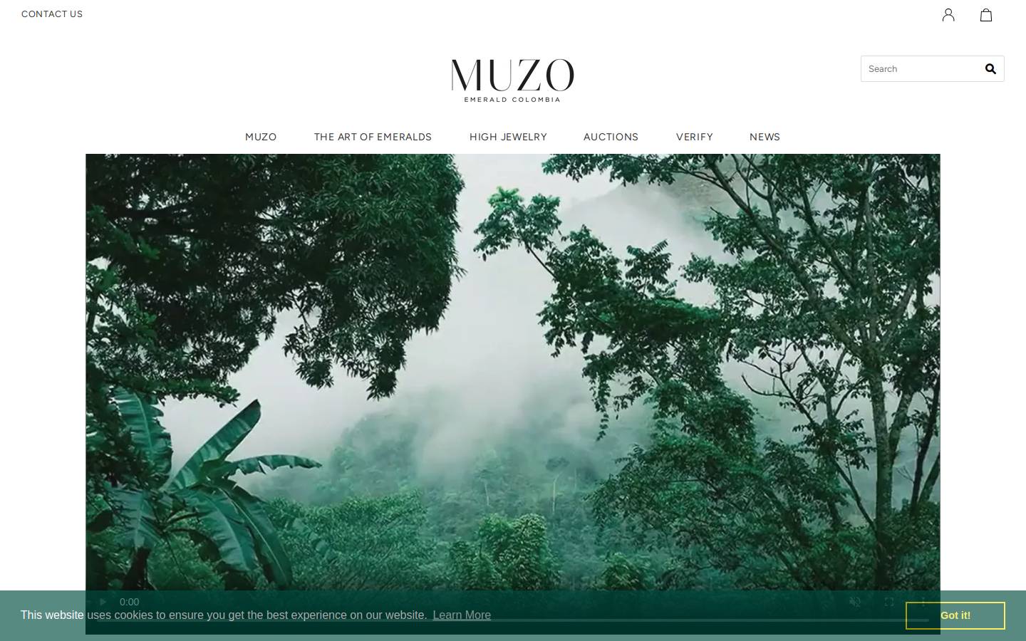 muzo.co homepage screenshot