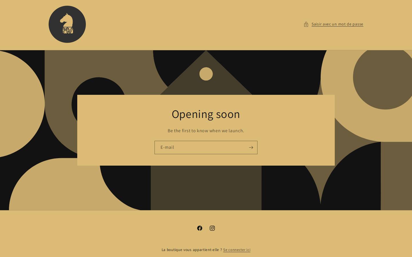 mvsellerie.fr homepage screenshot