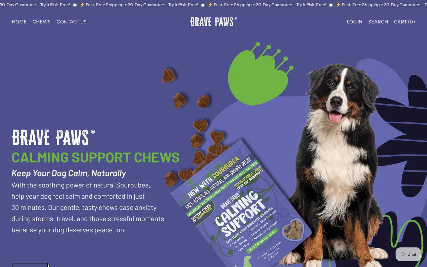 Brave Paws homepage screenshot