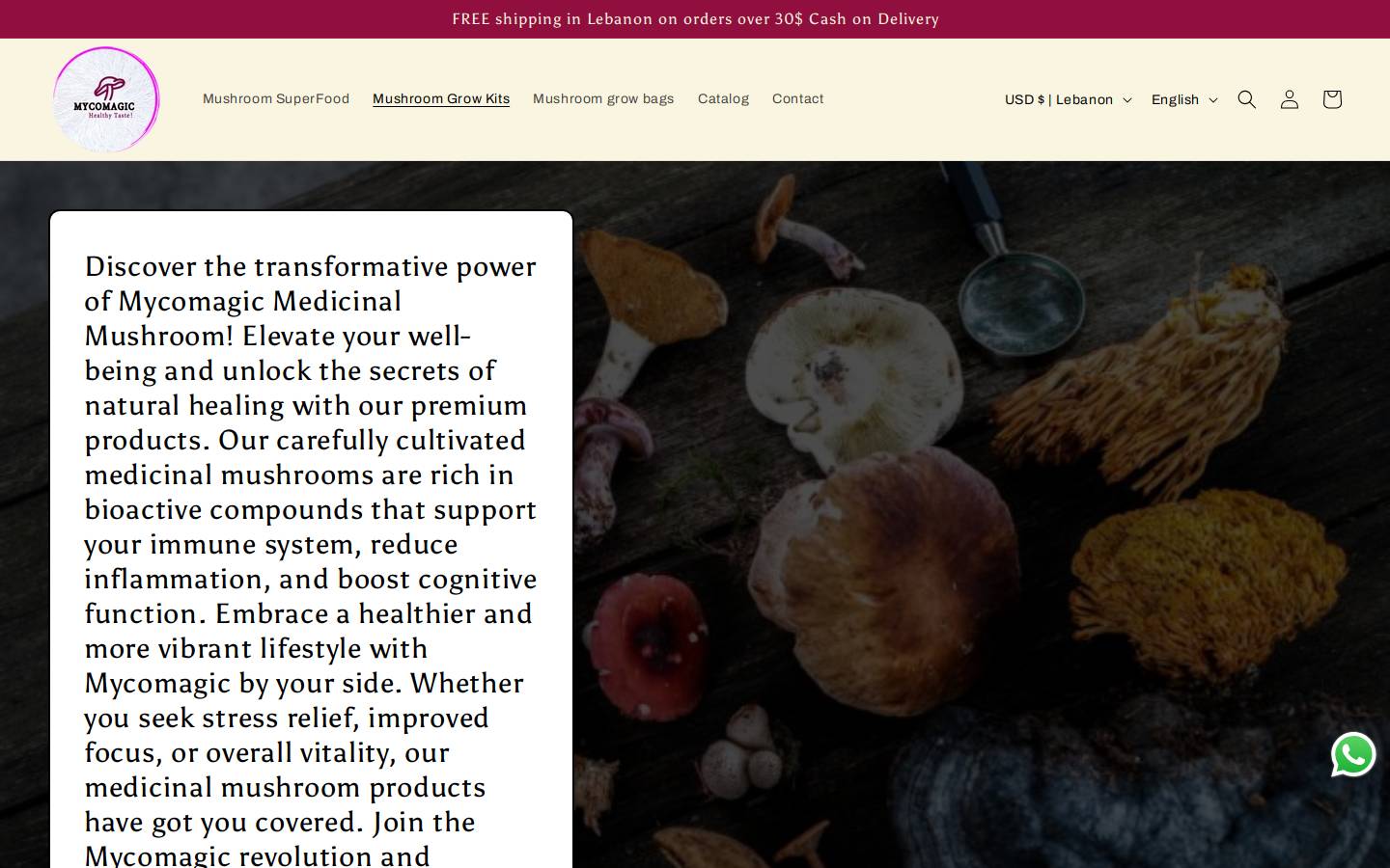 mycomagic-lb.com homepage screenshot