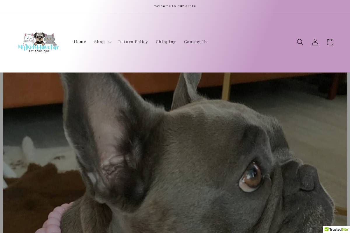 mykidshavefurpetboutique.com homepage screenshot