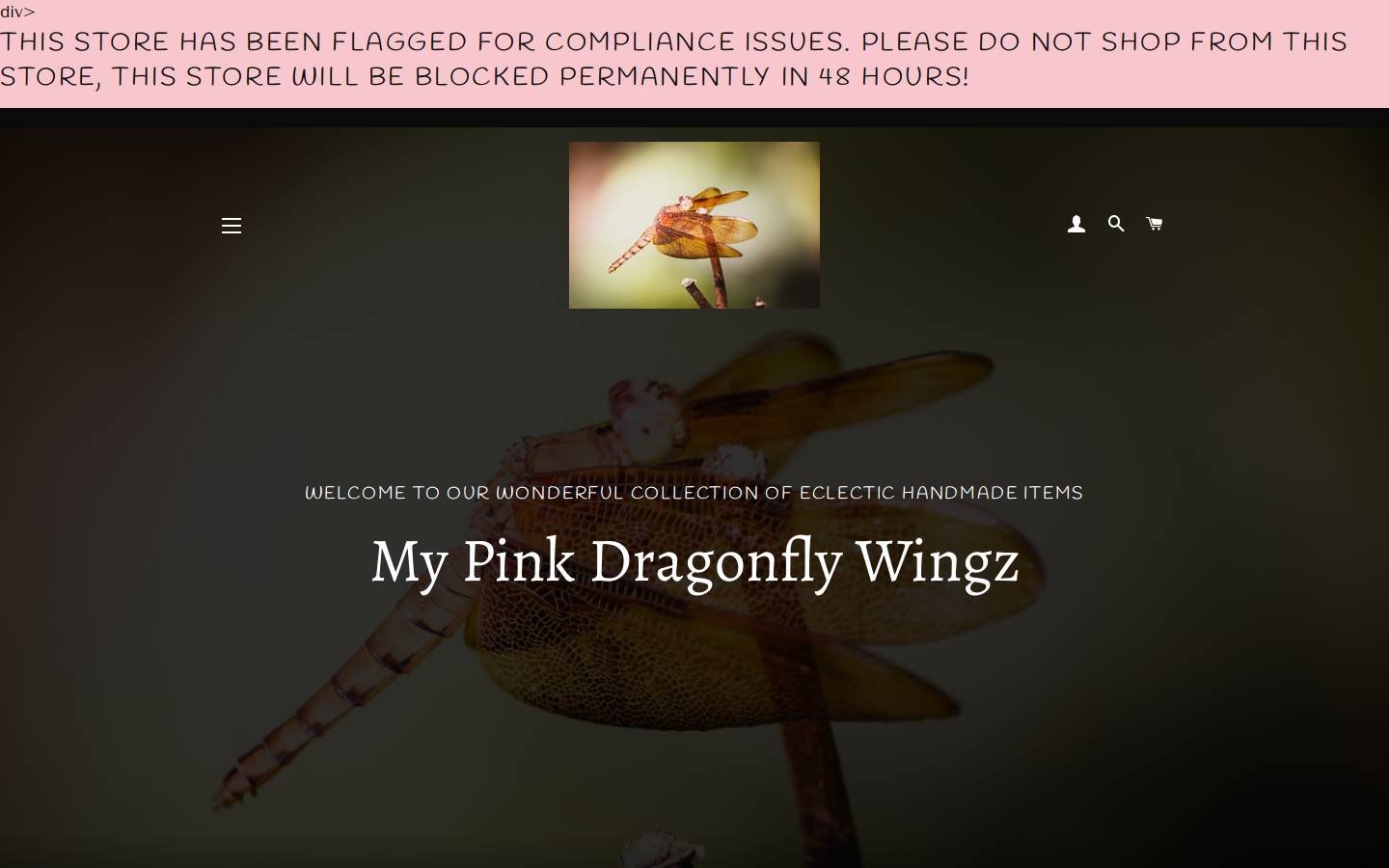 mypinkdragonflywingz.com homepage screenshot