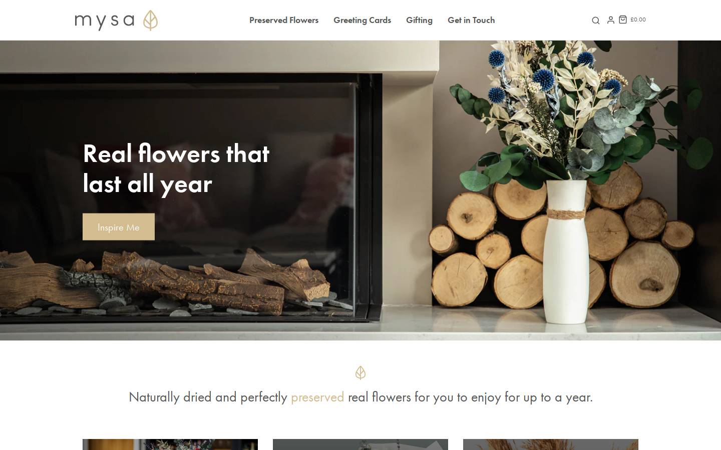 Mysa homepage screenshot