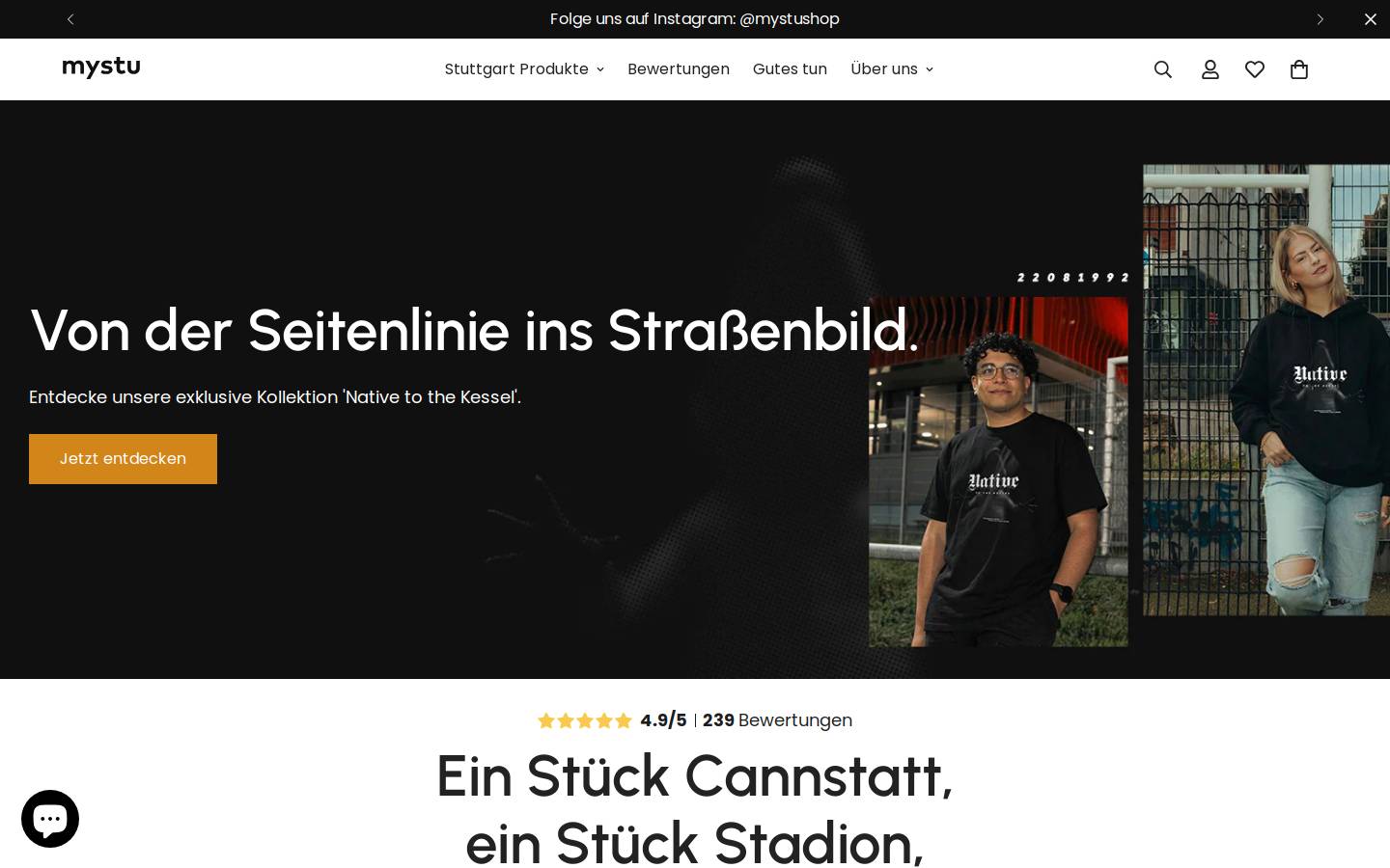 mystu homepage screenshot