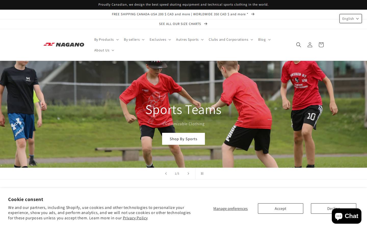 naganoskate.com homepage screenshot