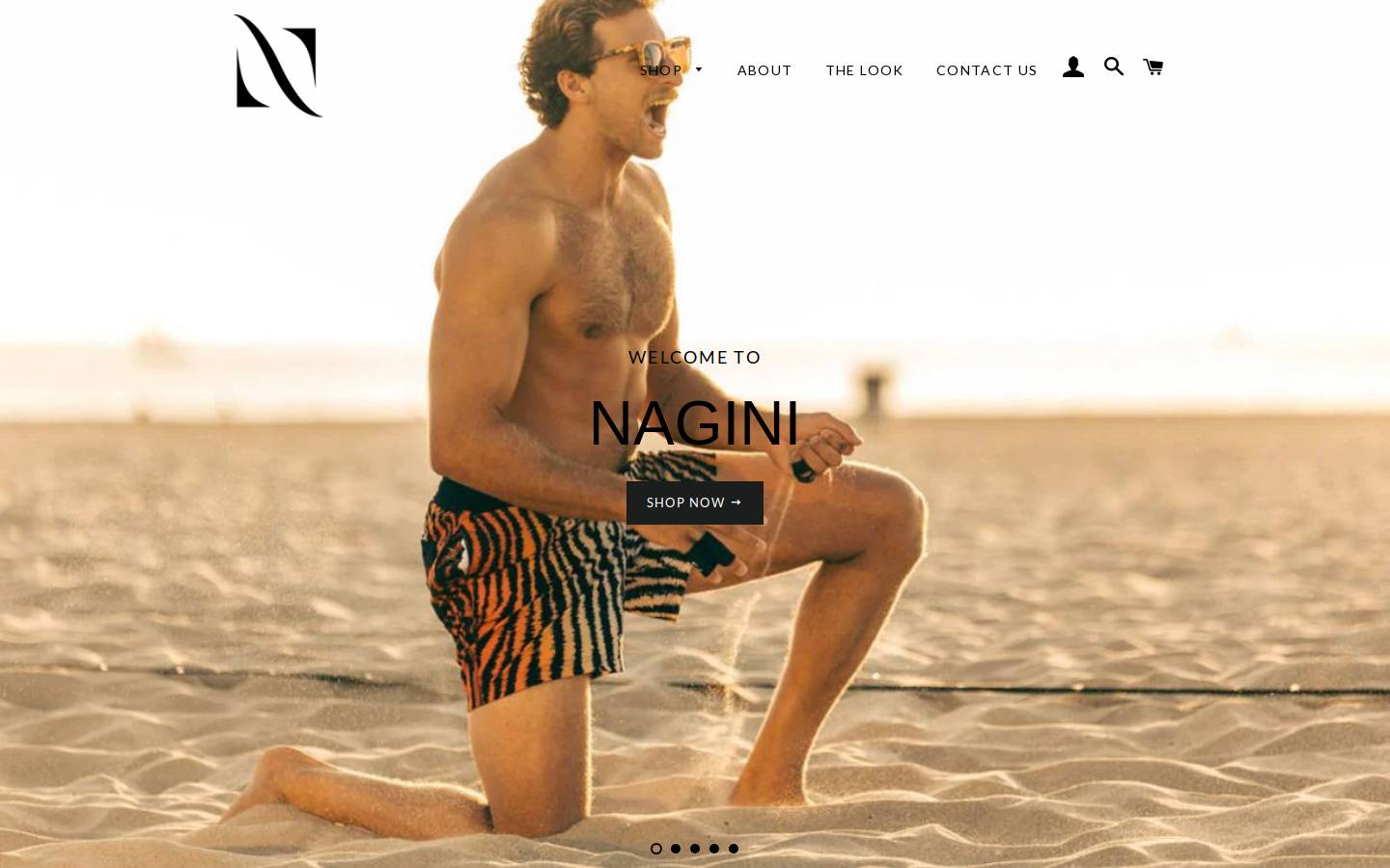 naginibrand.com homepage screenshot