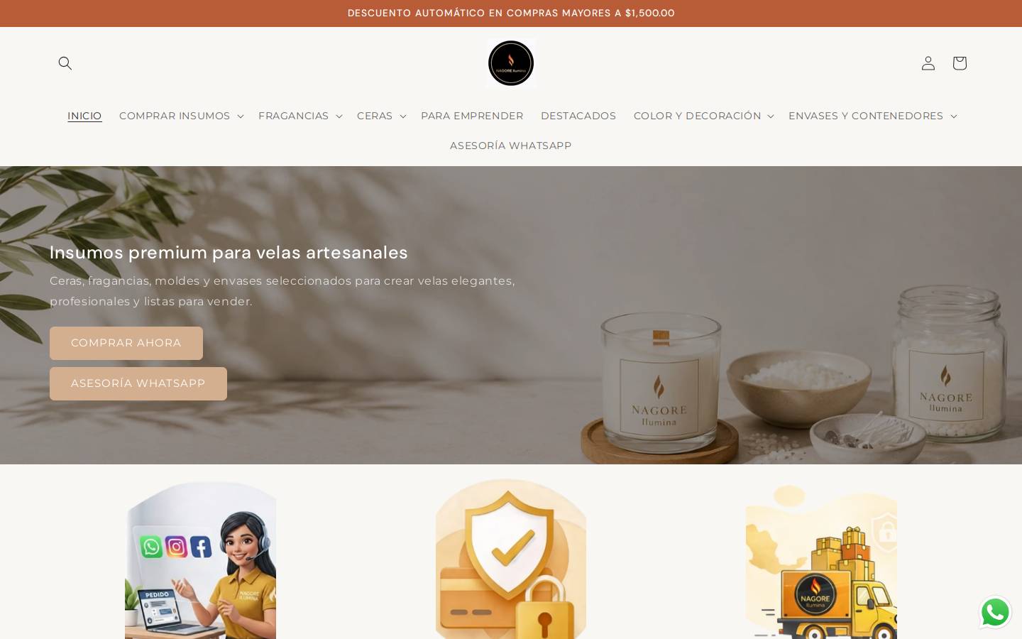 nagoreilumina.com homepage screenshot