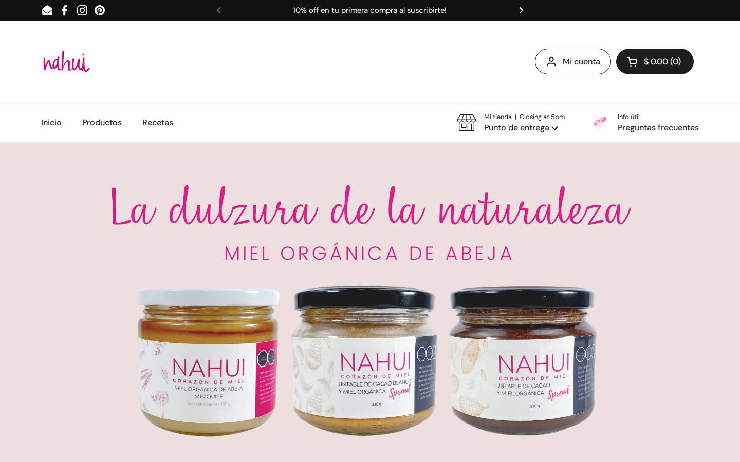 nahuiwellness.com homepage screenshot