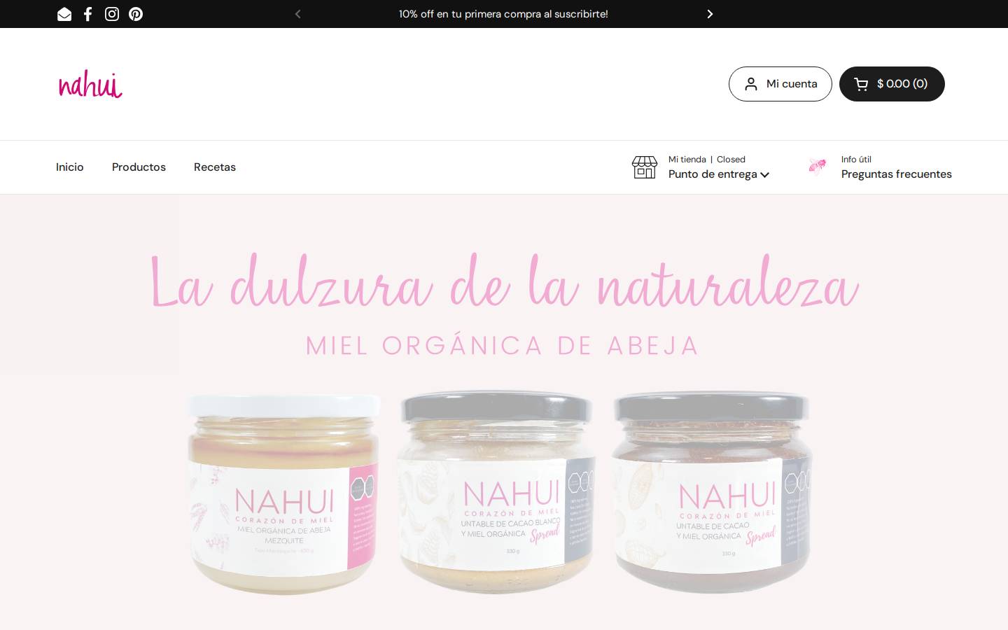 nahuiwellness.mx homepage screenshot
