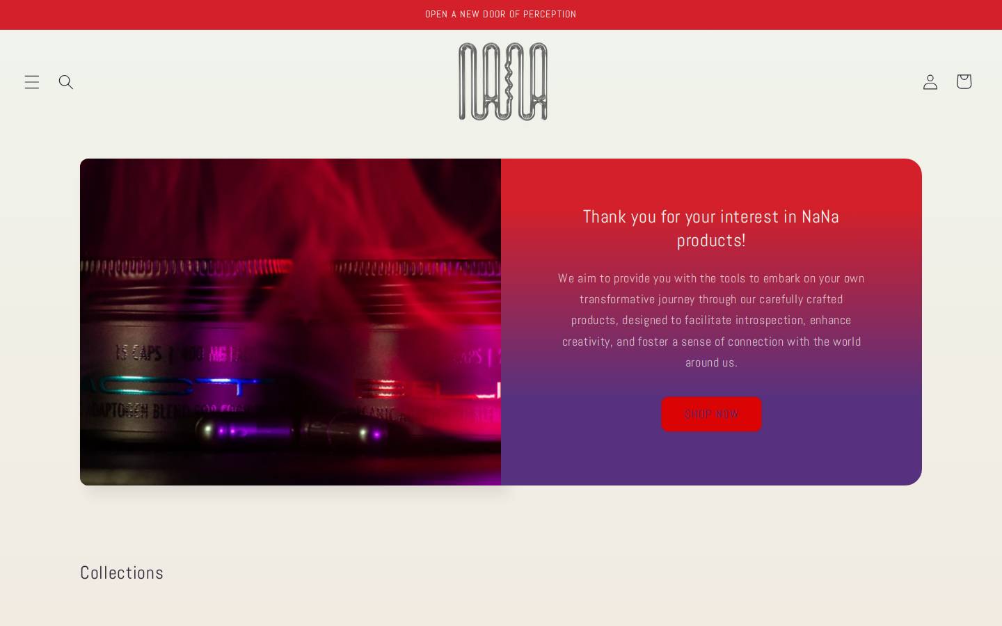 nanamexico.com homepage screenshot