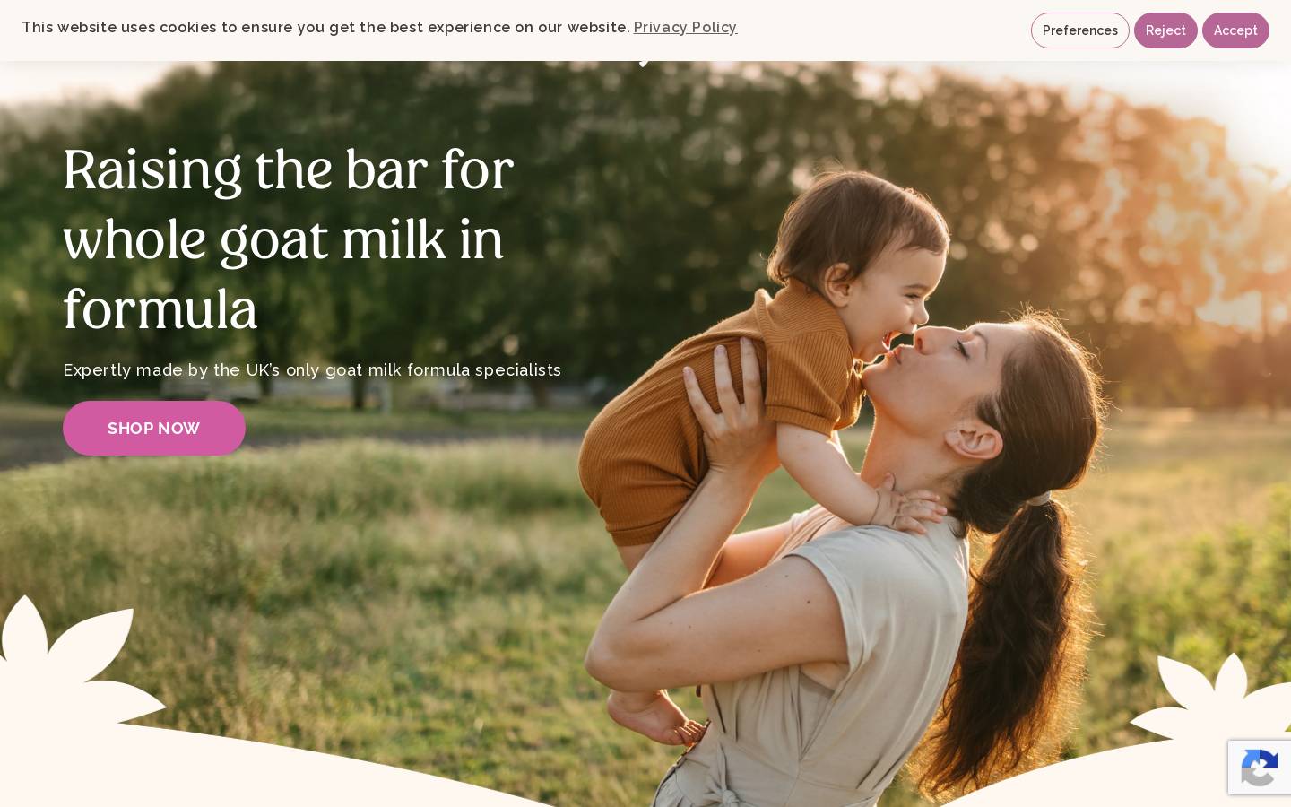 Nannycare homepage screenshot