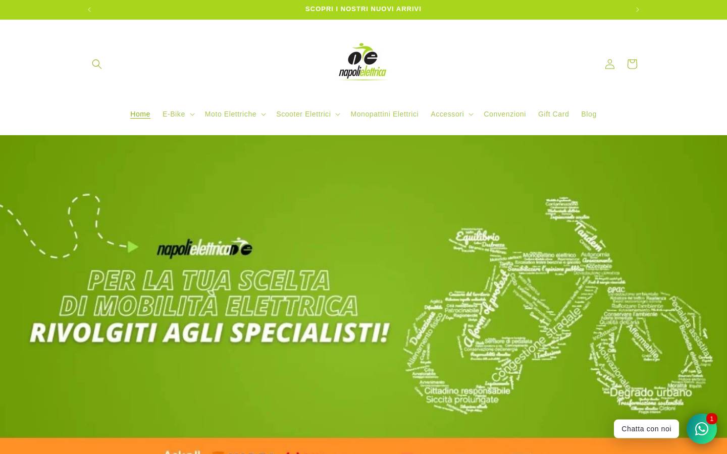 napolielettrica.it homepage screenshot