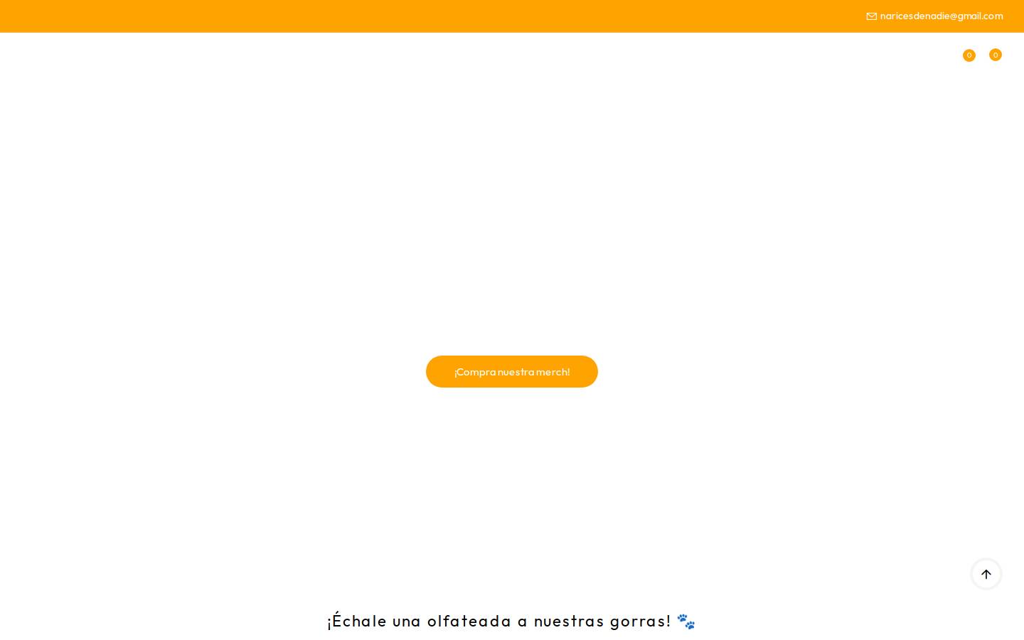 naricesdenadie.com homepage screenshot