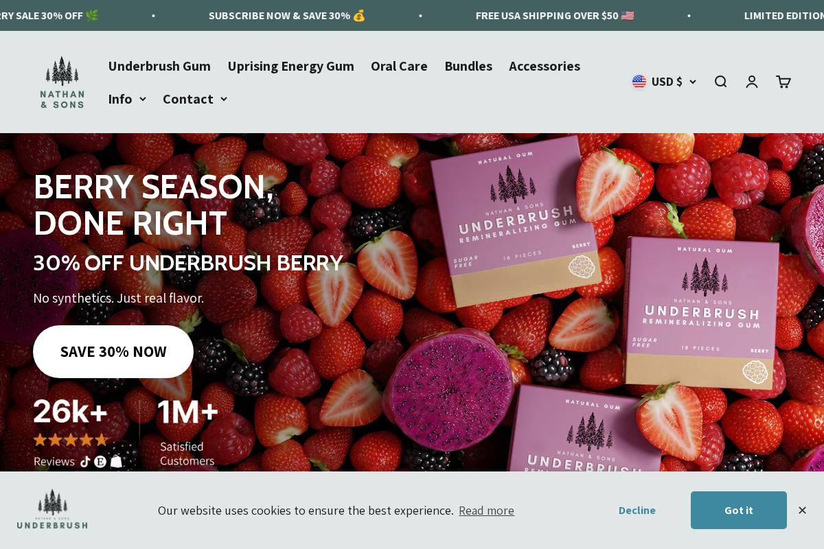 Nathanandsons homepage screenshot